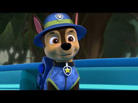 Paw Patrol-Charzocky - MIC Drop (Steve Aoki Remix) (by BTS, Steve Aoki) [REQUESTED SONG]