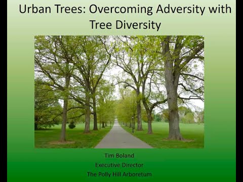 Urban Trees: Overcoming Adversity with Tree Diversity