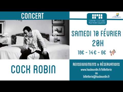 [Archives] - Cock Robin