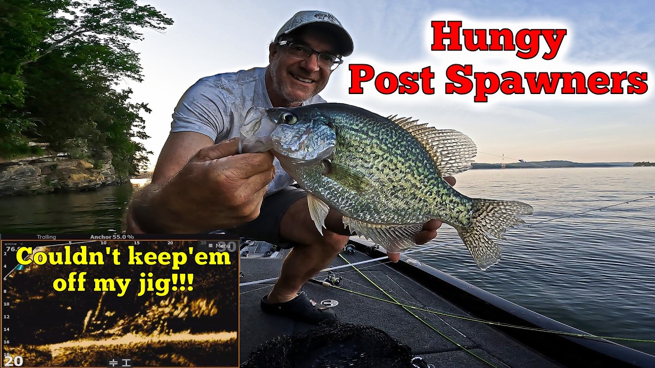 Couldn't keep them off my jig! Fish everywhere.