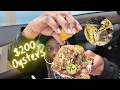 Funny Vlog 200 OYSTERS Food Review Buffalo Chicken Cheese Bread