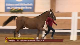 Video koně Compiegne