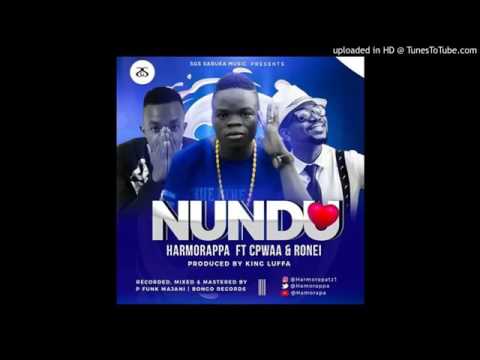 HAMORAPA FT CPWAA SONG Nundu