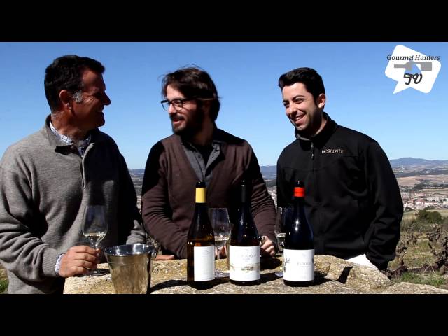 Video Pronunciation of Esteve in English