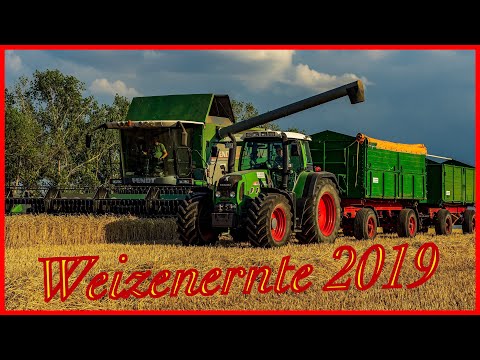 Weizenernte 2019 | GbR Behrens 🌾🌾🌾 [Mal etwas anderes] 🚜💨💨💨