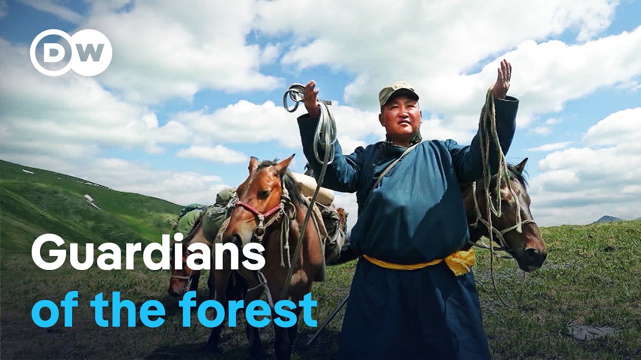 Mongolia - Valley of the bears | DW Documentary