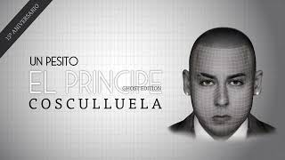 Cosculluela - Un Pesito (Visualizer)