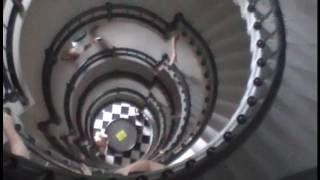 Ghost Crab, Lighthouse at Daytona Beach, Florida