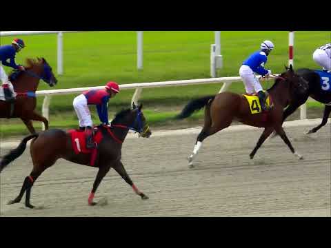 220416 c01 PERLA DEL SABA