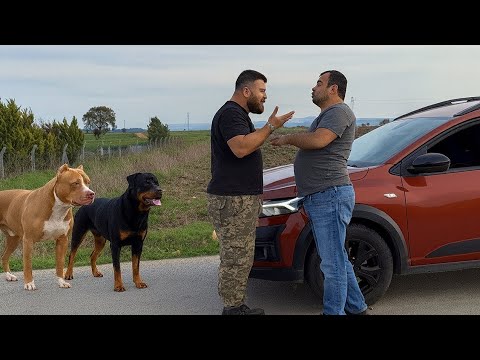 KÖPEKLERİ BURDA GEZDİRME DEDİ MEVZU ÇIKTI SONU KÖTÜ BİTTİ!