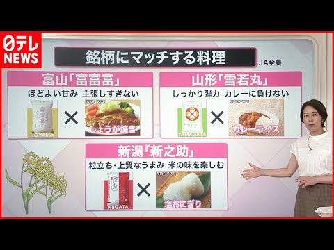 米について詳しく解説