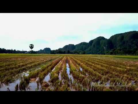 Refleksi BINTANG DI SURGA X GIVEN UP X FADED MASHUP - NOAH FT LINKIN PARK ALAN WALKER PADI