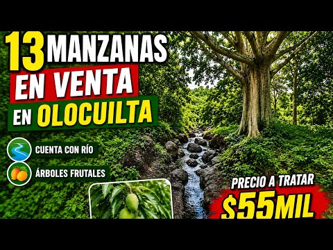 GANGAA 13 MANZANAS A $55MIL🥳🥳 POR TODO EN OLOCUILTA DEPARTAMENTO DE LA PAZ 