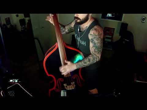 Juvenile Delinquent - Los Gatos Locos - Upright/Double Bass Cover #psychobilly #slapbass