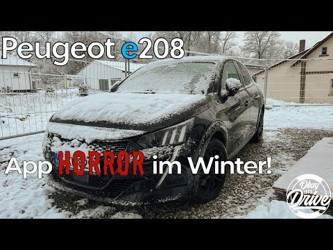 Warum unser e208 im Winter keinen Spaß macht - Teil 1