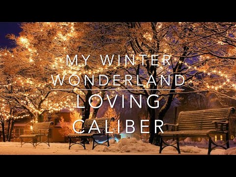 Loving Caliber feat. Revel Day - My Winter Wonderland