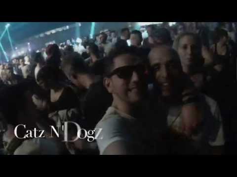 [PIAS]NITES 2014 - Paul Kalkbrenner - Vitalic VTLZR - Catz'N DOGZ