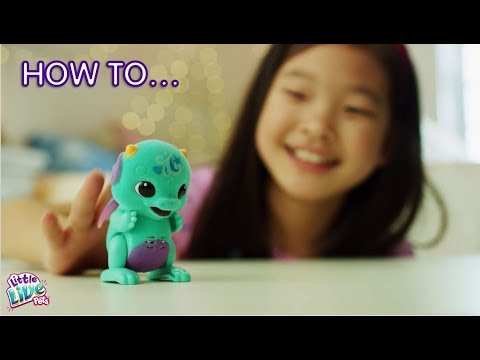 Little Live Pets S1 Surprise Dragon | How to Care & Play