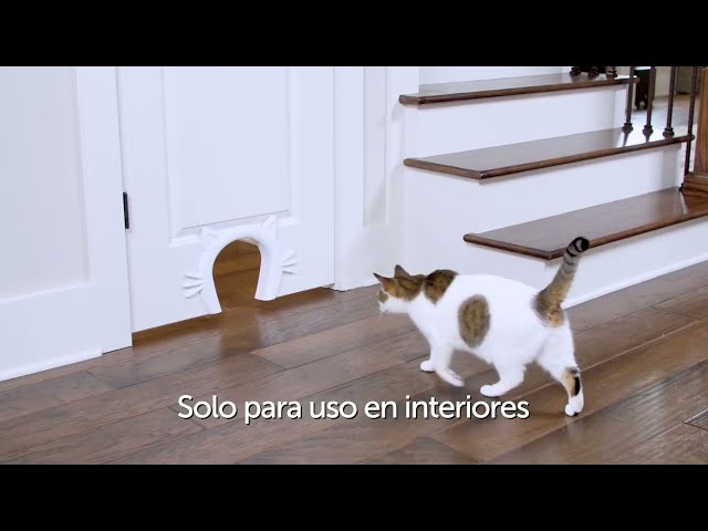 Vídeo relacionado con Cat Mate Puerta de Acceso para Mascotas con 4 Posiciones
