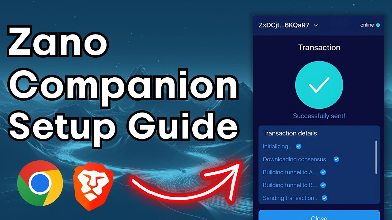 How to Set Up the Zano Companion Extension