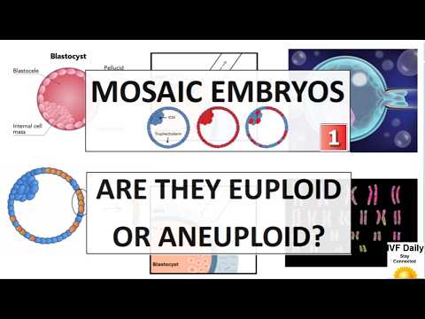MosaicEmbryos - Are they euploid or aneuploid?