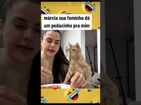 ALEGRIA E DIVERSÃO #humor #foryou #shortsviral #shorts