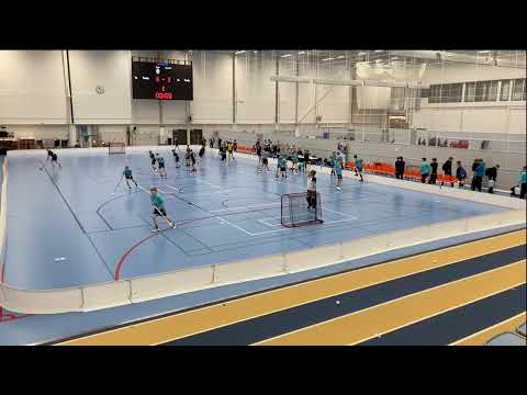 Hatsina P15 - Happee/ Duo