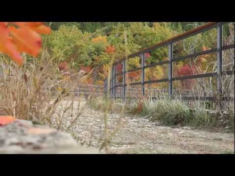 Parenzana II promo video