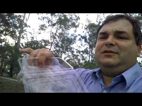 ARCHIE UNEMPLOYED - Ice cream and nasty filthy groters