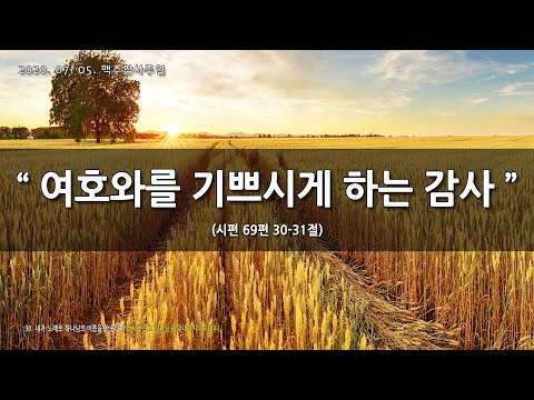 [한빛감리교회] 200705_주일2부예배_여호와를 기쁘시게 하는 감사_시편 69편 30-31절_백용현 담임목사