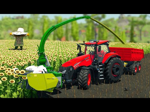 CUT SUNFLOWERS AND MAKE CHAFF WITH CASE FORAGE TRACTORS - Farming Simulator 22