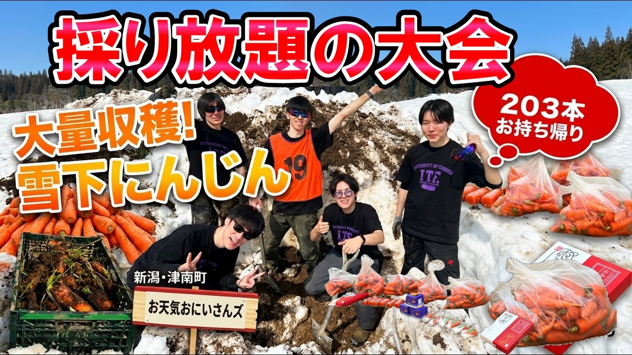 【雪堀りまくり】津南町の雪下にんじん持ち帰り放題の大会 雪下にんじん掘り競争2026 ついに入賞ゲット!?