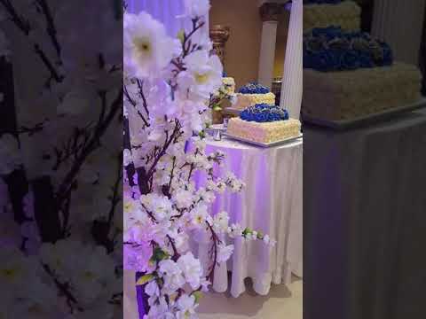 Danyal Digital Movies(1)