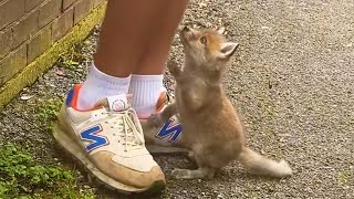 When the Animal Distribution System Decides You Deserve a Gift 😹