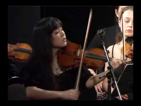 Zelenka Simphonie à 8 Concertanti in A minor, ZWV189 1/5