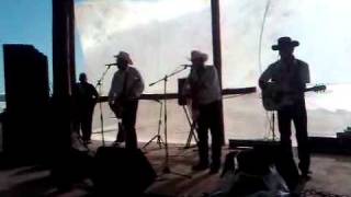 como perros   miguel y miguel