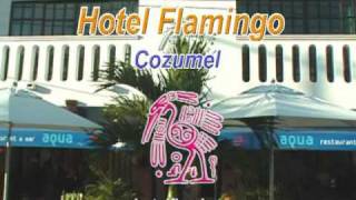 preview picture of video 'The Flamingo Hotel in Cozumel, Mexico'