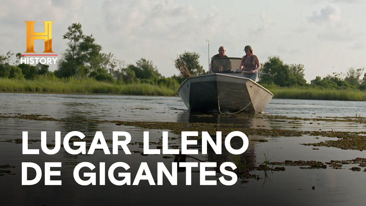 LUGAR LLENO DE GIGANTES - AMOS DEL PANTANO