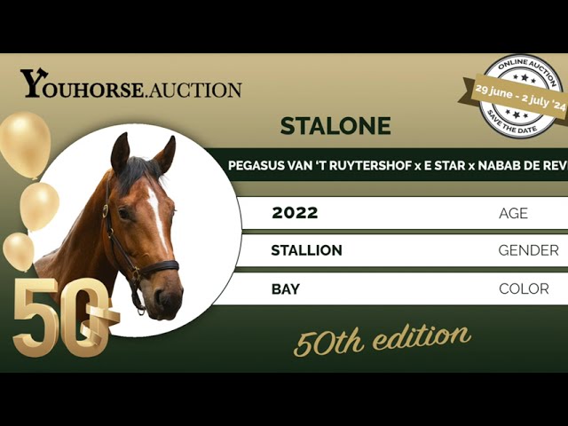 Pegasus van 't Ruytershof x E-star (Eaton Z) 2022