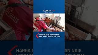 Download lagu Harga Telur di Pasaran Naik Lebih Mahal Dari Harga Ayam #shorts #telur #daging #ayam #harga #jatim mp3
