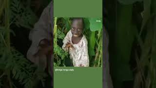 Download lagu tenge tenge day 1 #comedia #funny #meme#memes #funniest #teng #teng #youtubeshorts #viral #shorts mp3