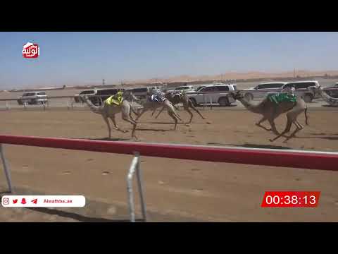  ش 1 (الشاهينيه) لـ عبدالله سالم الشامسي 2:8 , شارة الصندوق 2026/03/28 فطامين الروضة  