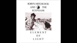 The Leopard - Robyn Hitchcock and The Egyptians