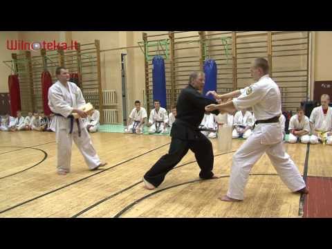 Shindokai-kan karate - więcej niż sport www.wilnoteka.lt