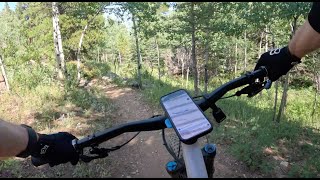 Sherwood Forest - narrow blue flow through peaceful woods - Mud Lake - Nederland - Colorado