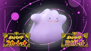 【1位達成‼︎ レンタル有】メタキョジオカイリュー 前期最終レート2039 156位でした。ポケモンSV ポケットモンスター スカーレット バイオレット