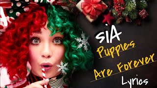 siA | Puppies Are Forever| Lyrics Video 🎄🎄🎄🐕🦮🐕‍🦺#sia @hearhere9592