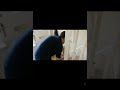 Supernanny A Fight Results In A Double Timeout