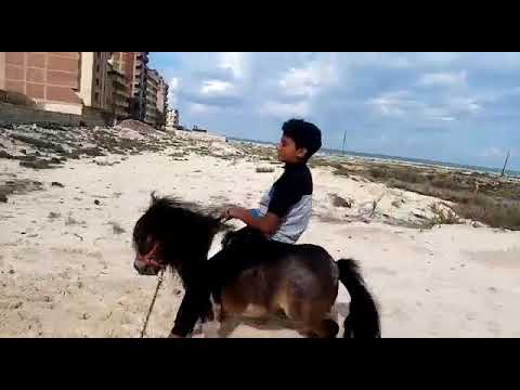 XLOoORDe’s Video 173049309381 bW0MYOU5jVk