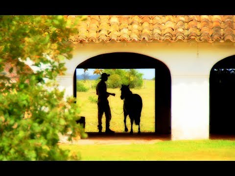 Meu Amor Que Ela Roubou video